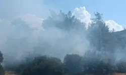 Kahramanmaraş'ta orman yangınına müdahale ediliyor