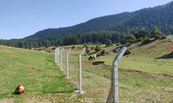 DEVA Partili Karatutlu: Sersem Yaylası’nın hakkı korunmalıdır