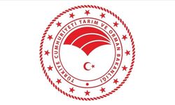 Tarım ve Orman Bakanlığı şap hastalığının kontrol altına alındığını bildirdi