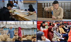 İŞKUR Gençlik Programı'na bugüne kadar 483 bin 331 başvuru yapıldı