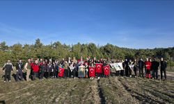 Şehit 20 askerin adı dikilen fidanlarda yaşayacak