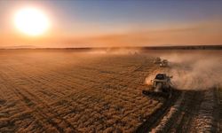 Bakan Yumaklı: 331 Milyon TL Destek Bugün Hesaplarda