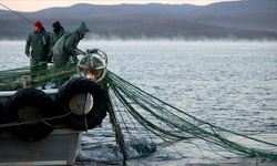 Türkiye, Akdeniz Genel Balıkçılık Komisyonu Başkanlığına seçildi