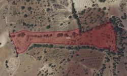 Kahramanmaraş’ta 10 dönüm bağ icradan satışa çıktı