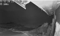 Ayılar kış uykusu nedir bilmiyor