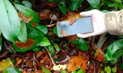 Anne ve Oğlun Şüpheli Ölümünde Otopsi Sonucu: Hipotermi