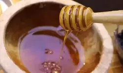 2025'te 100 bin tonun üzerinde bal üretimi beklentisi