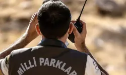 Yaban keçisi vuran avcıya 953 bin TL ceza