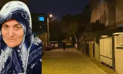 Torunu tarafından bıçaklanan babaanne hayatını kaybetti