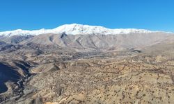 Nurhak’ta yaban domuzu avı yapıldı