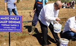 MADO’dan "Salep Manifestosu"