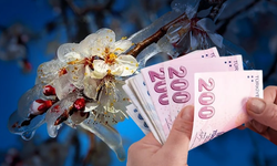 Zirai Don Desteği Kahramanmaraşlı Üreticilere Umut Oldu