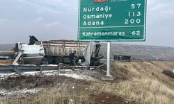 Zincirleme kazaya karışan 3 TIR alev aldı; otoyol trafiğe kapandı