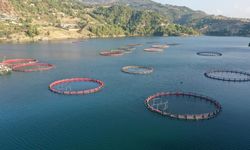 Sözleşmeli Üretimde Kapsam Genişledi