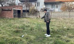 Şiddete uğradıkları değerlendirilen 8 kedi ölüsü bulundu