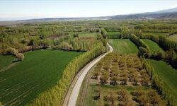 Kahramanmaraş’ta 2B arazileri için tapu yolu açılıyor