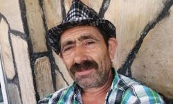 Komşusunun ağaç kesimine yardım ederken hayatını kaybetti