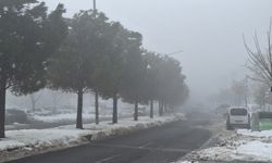 Kahramanmaraş’ta yoğun sis etkili oluyor