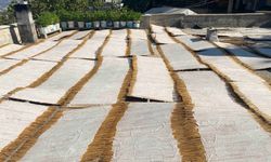 Kahramanmaraş'ın Eşsiz Lezzeti: Maraş Tarhanası Nedir, Nasıl Yapılır?