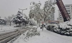 Kahramanmaraş’ta karın ağırlığı ağaç dallarını kırdı