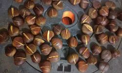 Kahramanmaraş’ta Kış Soğuğu Vurdu, Kestane Fiyatı Uçtu