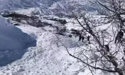 Ahıra çığ düştü: 44 küçükbaş öldü