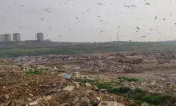 Bakanlıktan O Belediye'ye Çevre Kirliliği Cezası