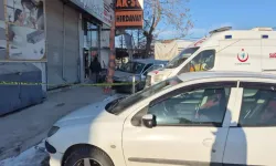 Direksiyon başında kalp krizi geçirip kaza yapan sürücü öldü; o anlar kamerada