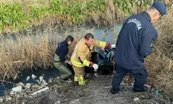 Kayıp olarak aranırken dere yatağında cansız bedeni bulundu