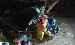 Otomobil ağaca çarptı: 2 ölü, 2 yaralı