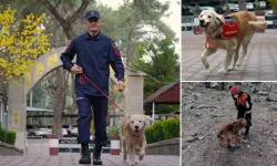 JAK köpeği 'Ocak', 8 yılda 48 can kurtardı