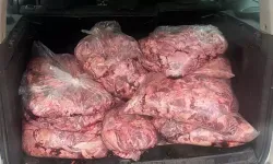 Hafif ticari araçta 450 kilo bozuk et ele geçirildi