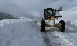 Kahramanmaraş'ta kar nedeniyle 137 mahalleye ulaşım sağlanamıyor