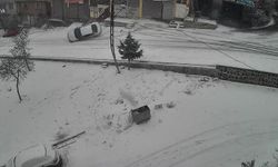 Karlı yolda feci kaza: Kayan araç kaldırıma çarparak devrildi