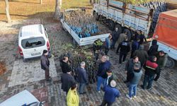 Büyükşehir’den 2025’te Çiftçiye 100 Milyonluk Destek, Üretime Güç