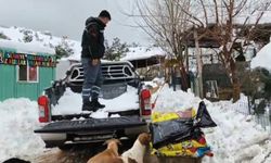 Gaziantep'te sokak hayvanlarına mama desteği