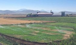 Kahramanmaraş’ta Kırsal Kalkınma Hamlesi