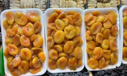 Kahramanmaraş’ta Kayısı Fiyatı Yarı Yarıya Düştü