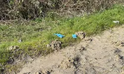 Çinli iş insanının cesed*i elleri ve ayakları bağlı toprağa gömülü bulundu