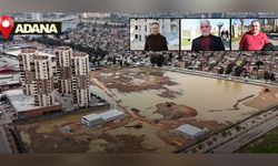 Coniler, Conolara komşu oluyor