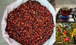 Kahramanmaraş’ta Kış Aylarının En Çok Aranan Şifa Kaynağı