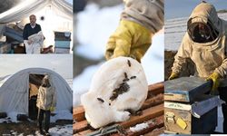 Kahramanmaraşlı Arıcı Ramazan Say, Deprem Sonrası Desteklerle Ayağa Kalktı