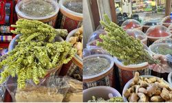 Kahramanmaraş’ta Aktarların Gözdesi