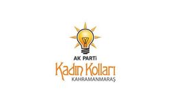 Kadın Kolları’ndan istifa iddialarına açıklama