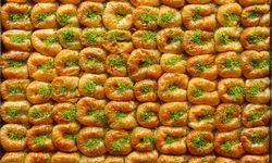 Kahramanmaraş’ta bülbülyuvası fiyatları ne kadar?