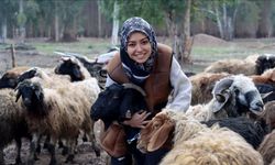 Depremde hayvanları ölen üniversite öğrencisi kadın, devlet desteğiyle besiciliği sürdürüyor