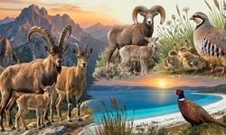 2025-2026 av sezonu kapandı