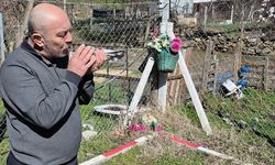 Bir ev parasına güvercin!