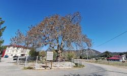 Kahramanmaraş’ta geçmişten bugüne uzanan doğal miras