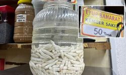 Kahramanmaraş’ın Dağlarından Gelen Şifa